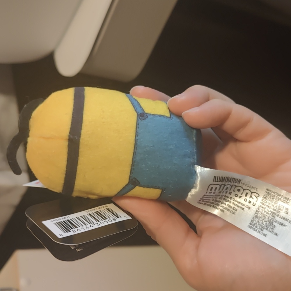 Minion - Picture 3 of 3